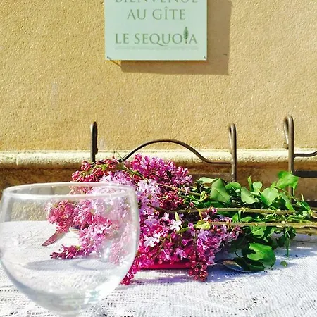 Bed & Breakfast Le Sequoia *